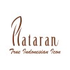 Head of Marketing (Consultant)