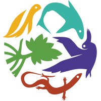 In-No-Plastic Project Assistant