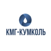 Teamlead/Analyst MDM (Master Data Management)