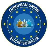 Senior Press and Public Information Officer / Chief of Unit