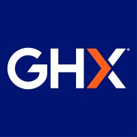 Lead Consultant / Project & Programme Manager