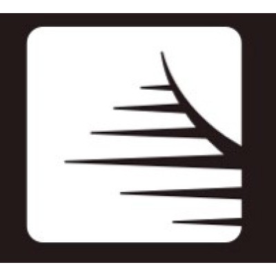 Full Stack Web Developer and Digital Solutions Consultant