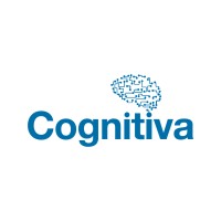 Senior Business Consultant