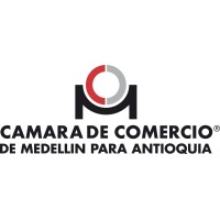 Director regional