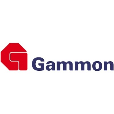Senior Engineering Manager