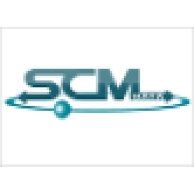 Business Analyst