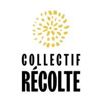 Board Member - Strategic Committee