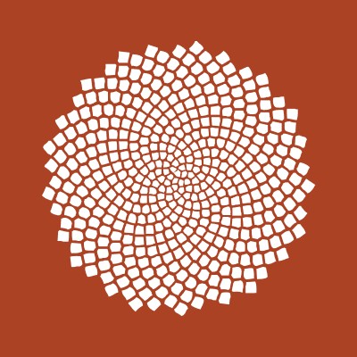 Creative Art Director | Brand Designer