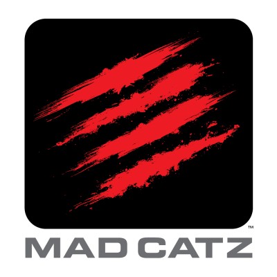 Multimedia/Interaction Designer