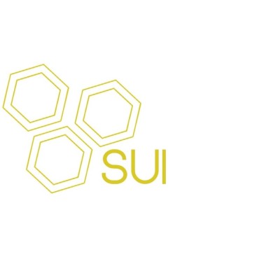 User Experience Designer