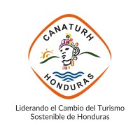 Coordinador