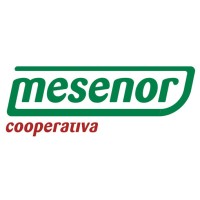 Asesora de Marketing y comunicación. Digitalización