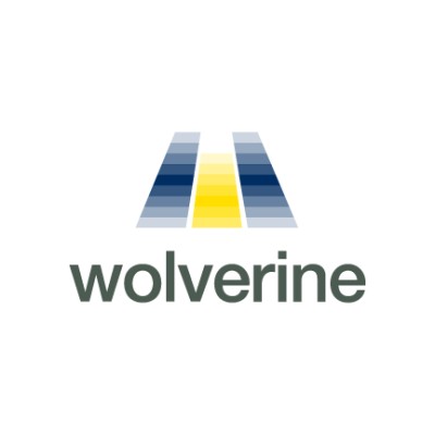 IT Quality Assurance Director