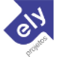 Programming Analyst