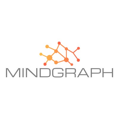 IT Project Manager