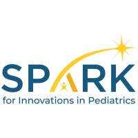 Program Director