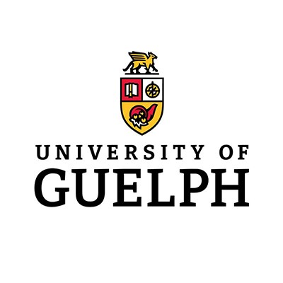 IT Business Analyst / Project Manager