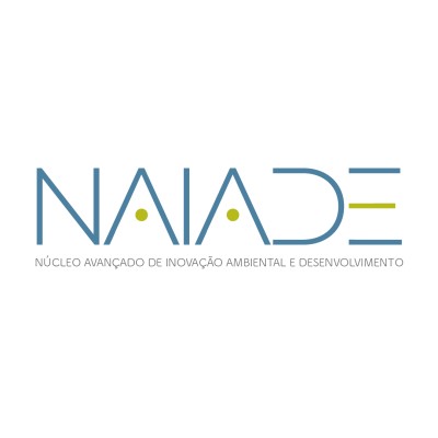 Chief Design Officer