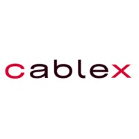 Junior Business IT Specialist