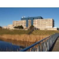 Microsoft BI Consultant
