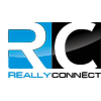 Passionate Networking Strategist