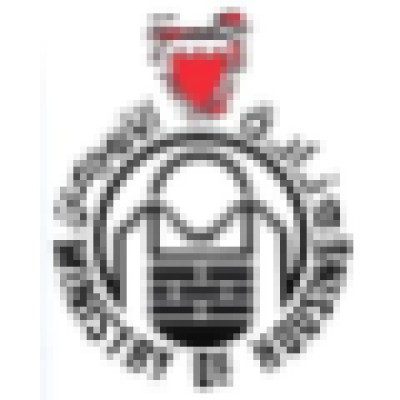 Computer System Analyst