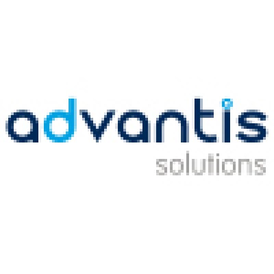 I.T. Consultant