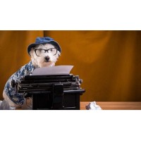 Freelance Blogger