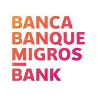 Senior Business Analyst