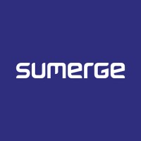 Direct Marketing Executive