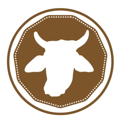 Senior Designer and UI/UX Designer
