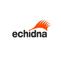 Senior UI Consultant