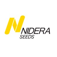 Key Account Manager