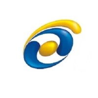 Director / Chief Executive Officer