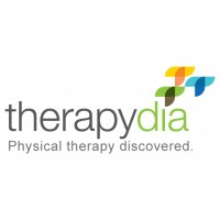 Physical Therapist
