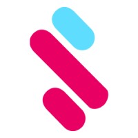 Software architect/Team leader