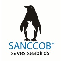 Seabird Rehabilitation Intern