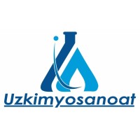Project Manager
