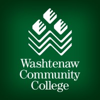 Web Services Technical Assistant