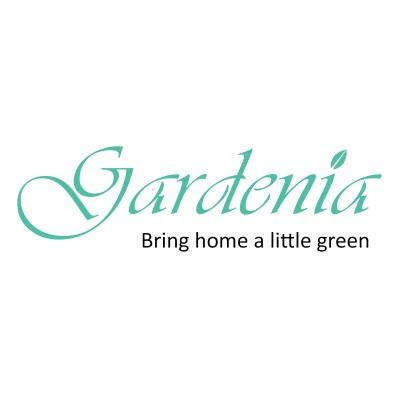 Social Media Manager 