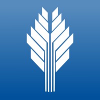 Director of Governance