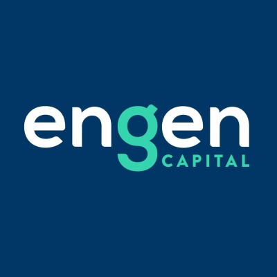 Senior IT Project Manager