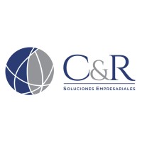 Asistente de auditoría externa