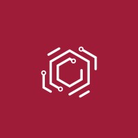 CTO / Head of Technology