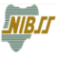 Business Analyst