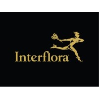 Marketing Communications Executive