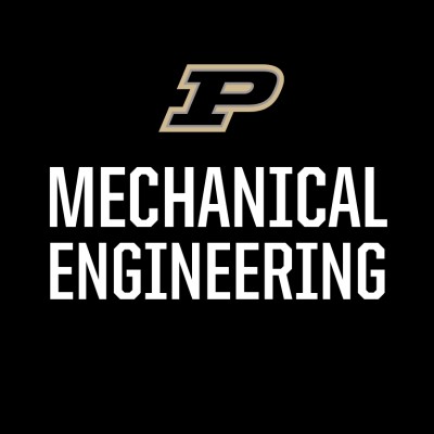 Undergraduate Research Assistant