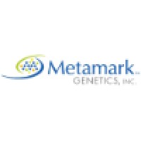 Director Human Resources