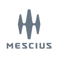 Senior Software Engineer