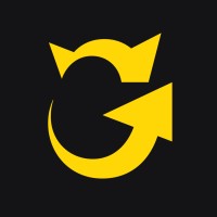 Senior Business Analyst